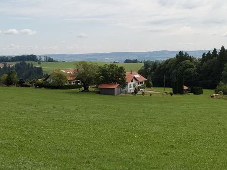 Greiters 2_450 breit